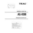 TEAC AG-H300 Instrukcja Serwisowa